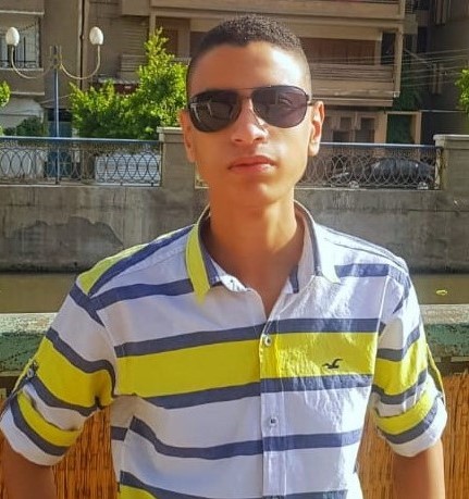 Rashad Abdeltawab
